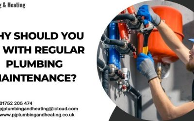 Why Should You Go With Regular Plumbing Maintenance?