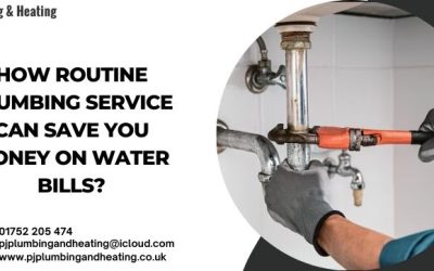 How Routine Plumbing Service Can Save You Money on Water Bills?