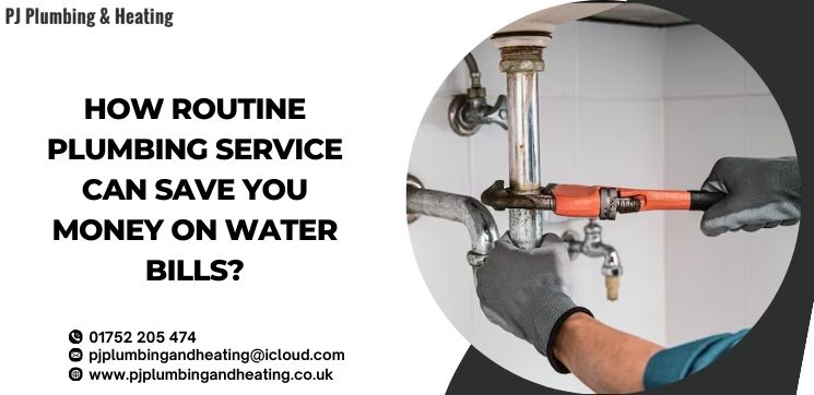 professional plumbers in Plymouth